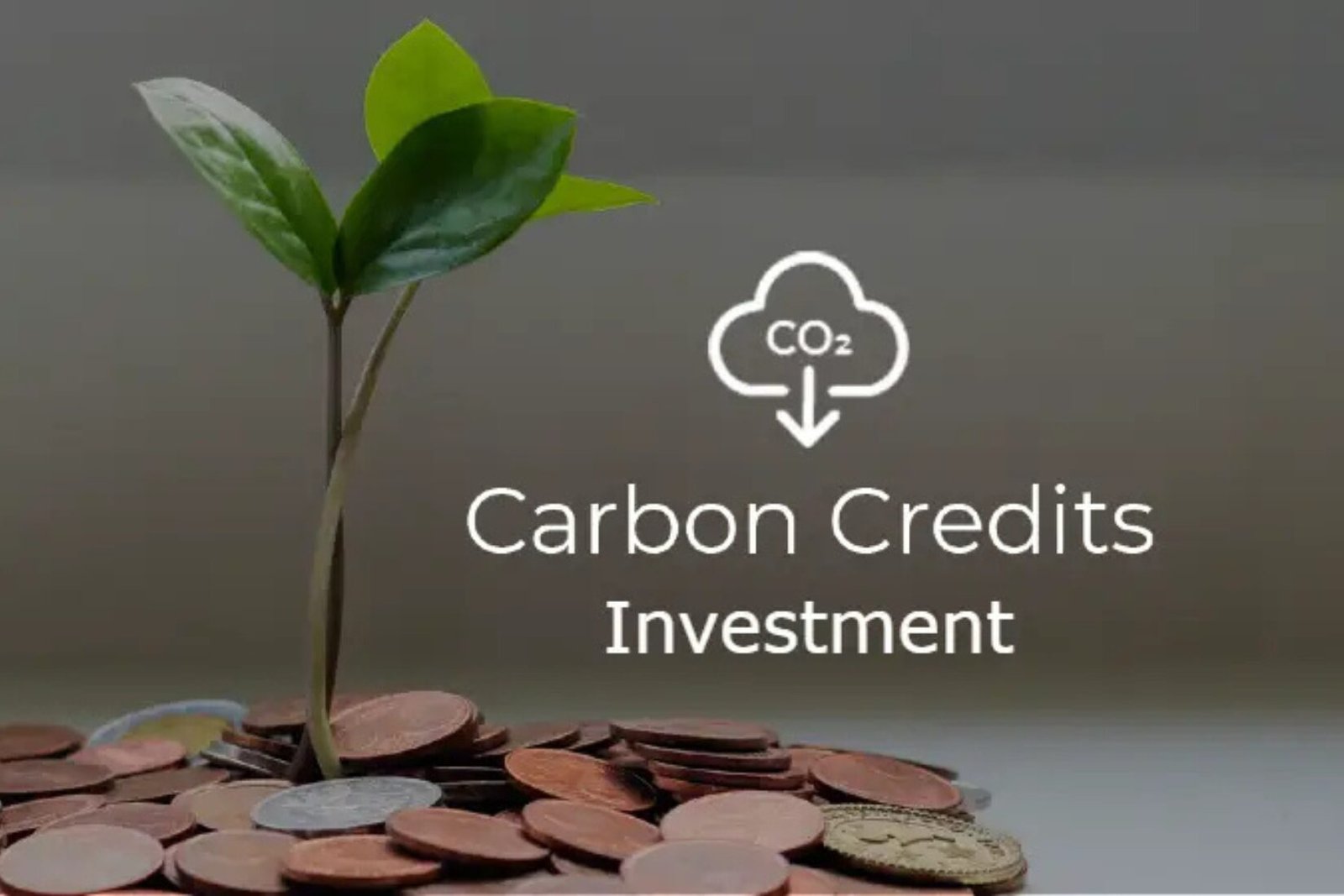 现在就是关键时刻！CarbonCore产品正在引爆绿色革命，你还要继续观望吗？