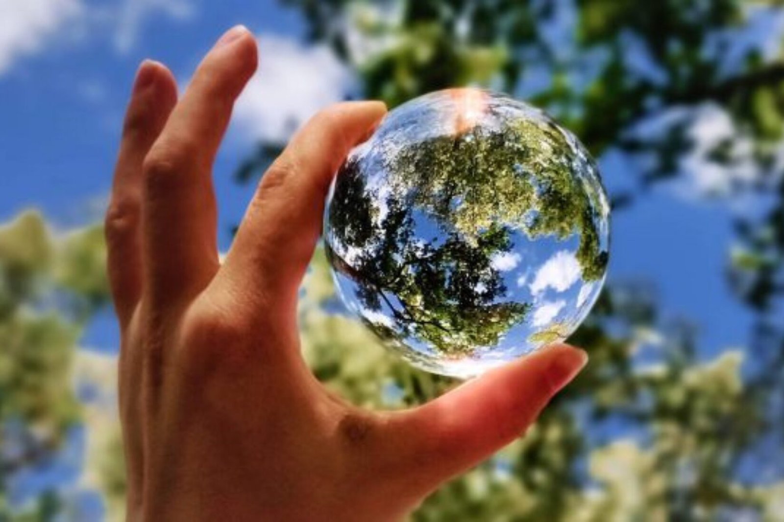 《我在 CarbonCore 的一天~走进碳信用被代币化的世界，重新理解一场属于未来的CarbonCore 碳中和战略》