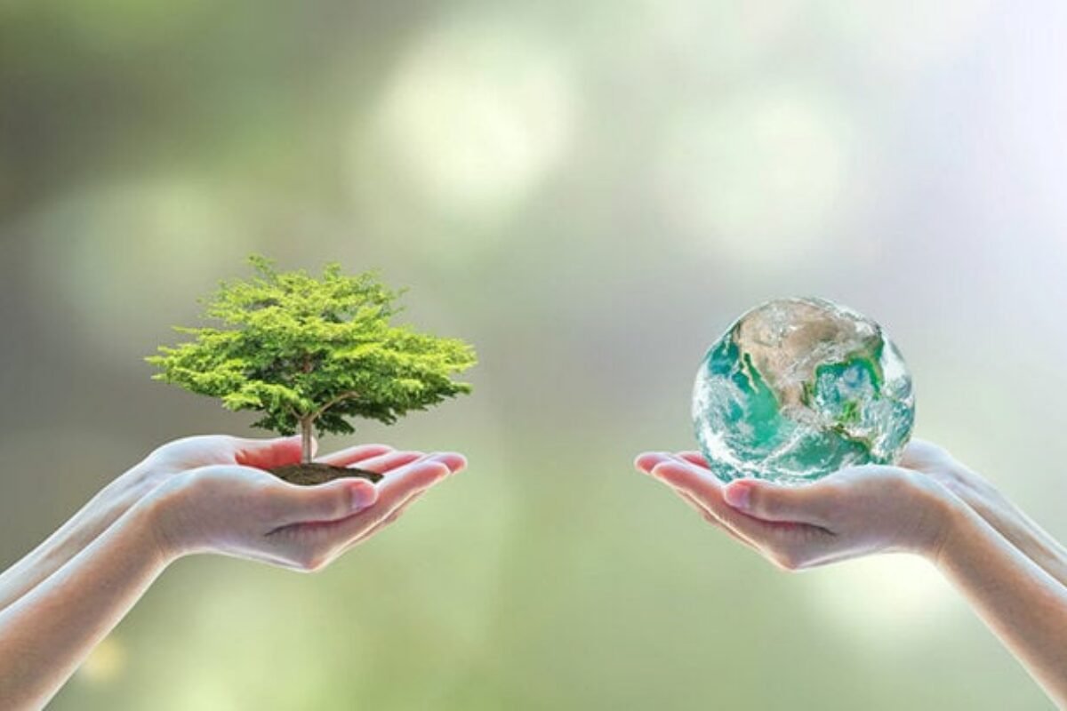 我在 CarbonCore 的一天｜会议、链上凭证与对账细节：Web3 ESG 应用案例原来长这样…