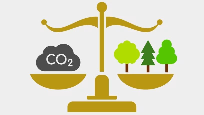 Carbon credit 怎么卖