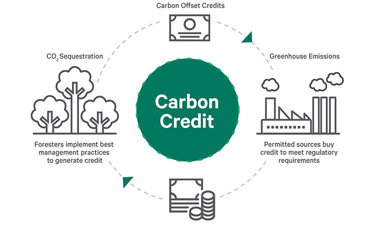 Web3 ESG 应用案例