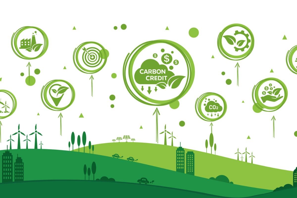 出口客户开始问了：为什么越来越多大马老板不得不研究 carbon credit 购买？