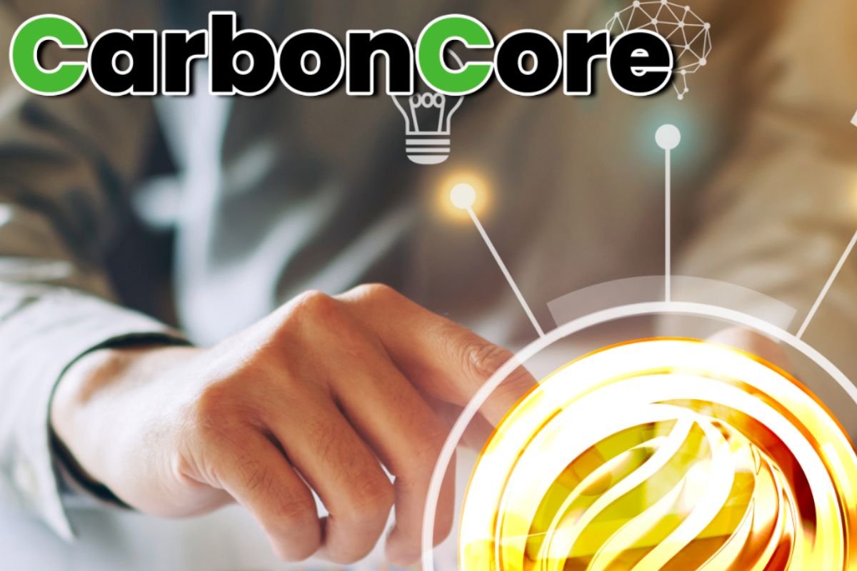 别让碳中和变成企业的冤枉路！行内人给老板们的避坑指南与实测反馈