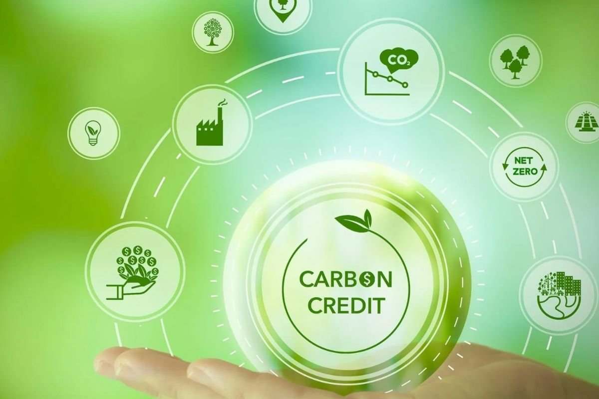 ESG 转型，企业只能靠碳信用“花钱买证”吗？