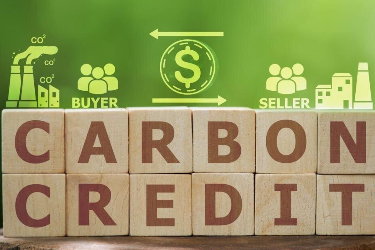 别再纠结 ESG 报告怎么写